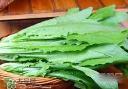 油麥菜糖尿病能吃嗎？糖尿病能吃油麥菜嗎？