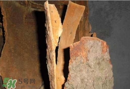 香樟樹的香味有害嗎？香樟樹的香味有沒有害