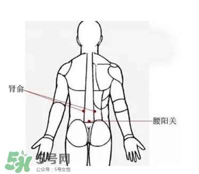 艾灸能減肥嗎？艾灸能不能減肥