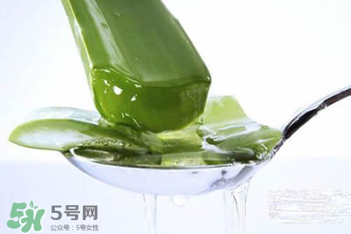 黃瓜水和蘆薈水哪個(gè)好？黃瓜水和蘆薈水功效區(qū)別