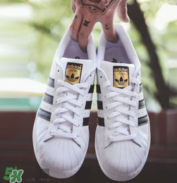 adidas貝殼頭正品多少錢？阿迪達斯貝殼頭鞋專柜價格