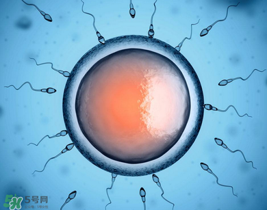 捐20顆卵子會怎么樣？捐20顆卵子有什么后果？