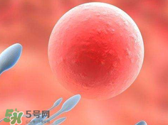 捐20顆卵子會怎么樣？捐20顆卵子有什么后果？