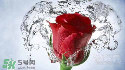 黃瓜水和玫瑰水哪個(gè)好？黃瓜水和玫瑰水區(qū)別