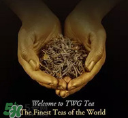 twg茶哪個最經(jīng)典？twg茶葉哪個好喝？