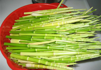 春筍老人能吃嗎？老人吃春筍好嗎？