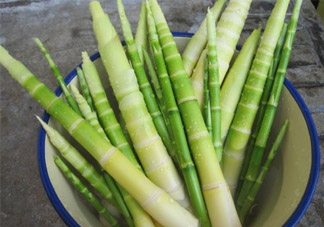 過敏體質(zhì)可以吃春筍嗎？皮膚過敏能吃春筍嗎？