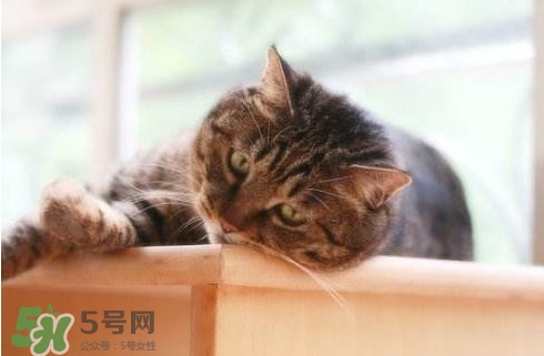 為什么身體總是覺得累？總是覺得累是怎么回事