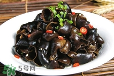 黑木耳是菌類的嗎？黑木耳屬于菌類嗎？