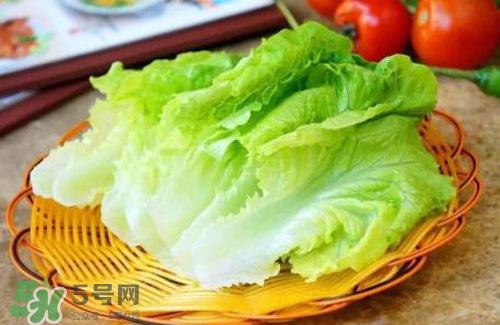 生菜可以放冰箱嗎？生菜可以放冰箱多久？