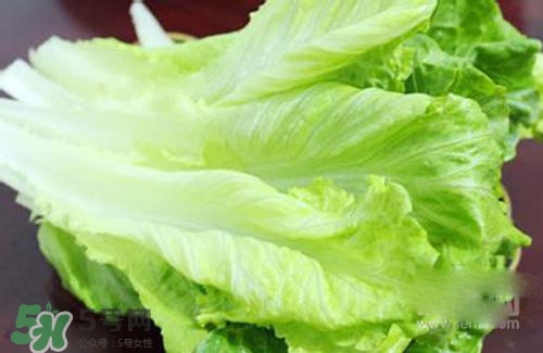 生菜可以放冰箱嗎？生菜可以放冰箱多久？