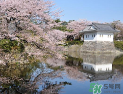 5月份去日本穿什么？五月份去日本穿什么衣服？