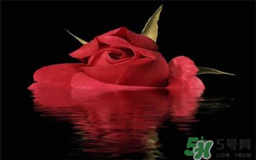 玫瑰水可以做面膜嗎？玫瑰水怎么做面膜？