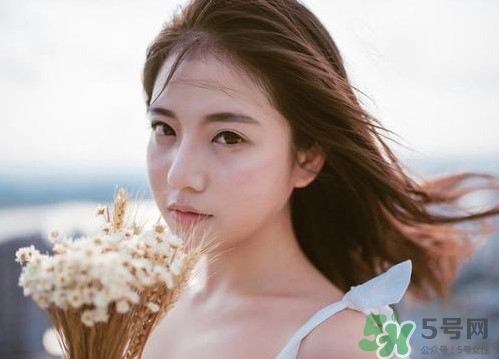 酢漿草怎么讀？酢漿草與三葉草的區(qū)別