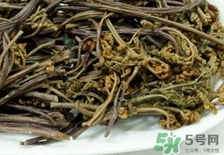龍頭菜的營養(yǎng)價(jià)值_龍頭菜的功效與作用及食用方法