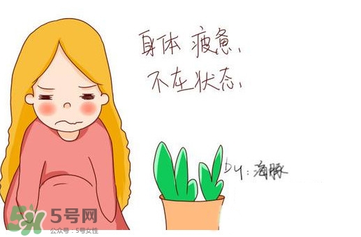 為什么身體總是覺得累？總是覺得累是怎么回事