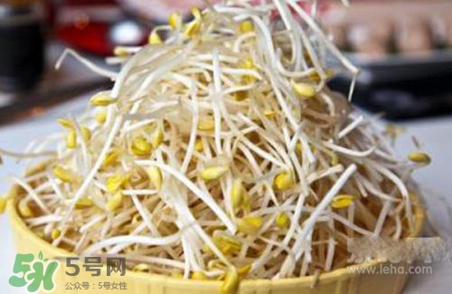 黃豆芽熱量高嗎？吃黃豆芽會長胖嗎？