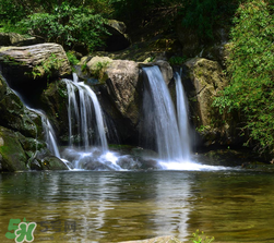 5月份去廬山穿什么？五月份去廬山穿什么衣服？