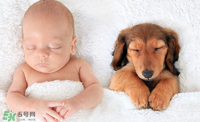 益生菌嬰兒怎么吃？益生菌嬰兒的吃法