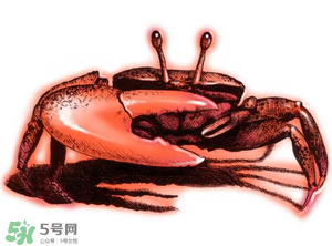 五月份可以吃螃蟹嗎？5月份可以吃螃蟹嗎？