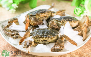 五月份可以吃螃蟹嗎？5月份可以吃螃蟹嗎？