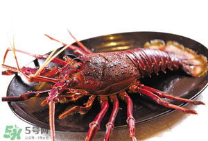 五月份能吃龍蝦嗎？5月份可以吃小龍蝦嗎？
