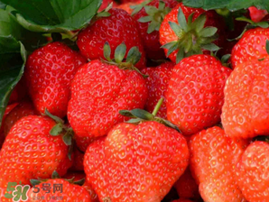 五月份還有草莓嗎？5月份還有草莓嗎？