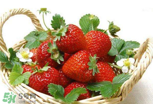 五月份還有草莓嗎？5月份還有草莓嗎？