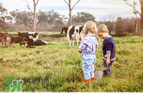 貝拉米有機(jī)米粉怎么樣？貝拉米有機(jī)米粉好不好？