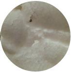 貝拉米米粉成分是什么？貝拉米米粉成分表