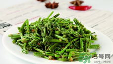 蕨苗能吃嗎？蕨苗可不可以吃？
