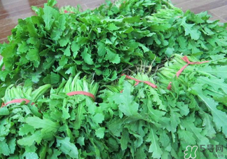 罌粟苗能當菜吃嗎？罌粟苗可以當菜吃嗎？