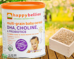 禧貝米粉怎么樣？禧貝米粉好不好？