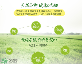 禧貝米粉二段味道怎么樣？禧貝米粉二段味道如何？