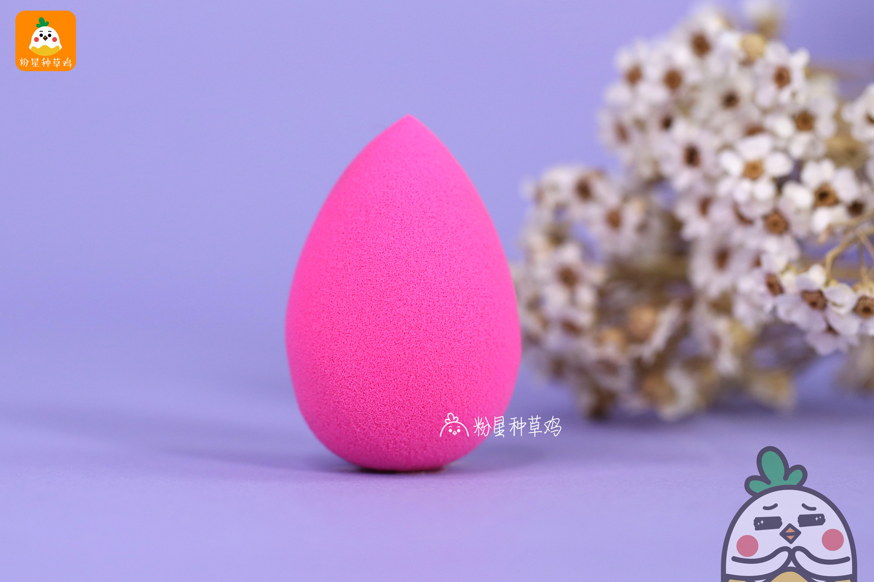 beauty blender美妝蛋和rt美妝蛋哪個(gè)好？