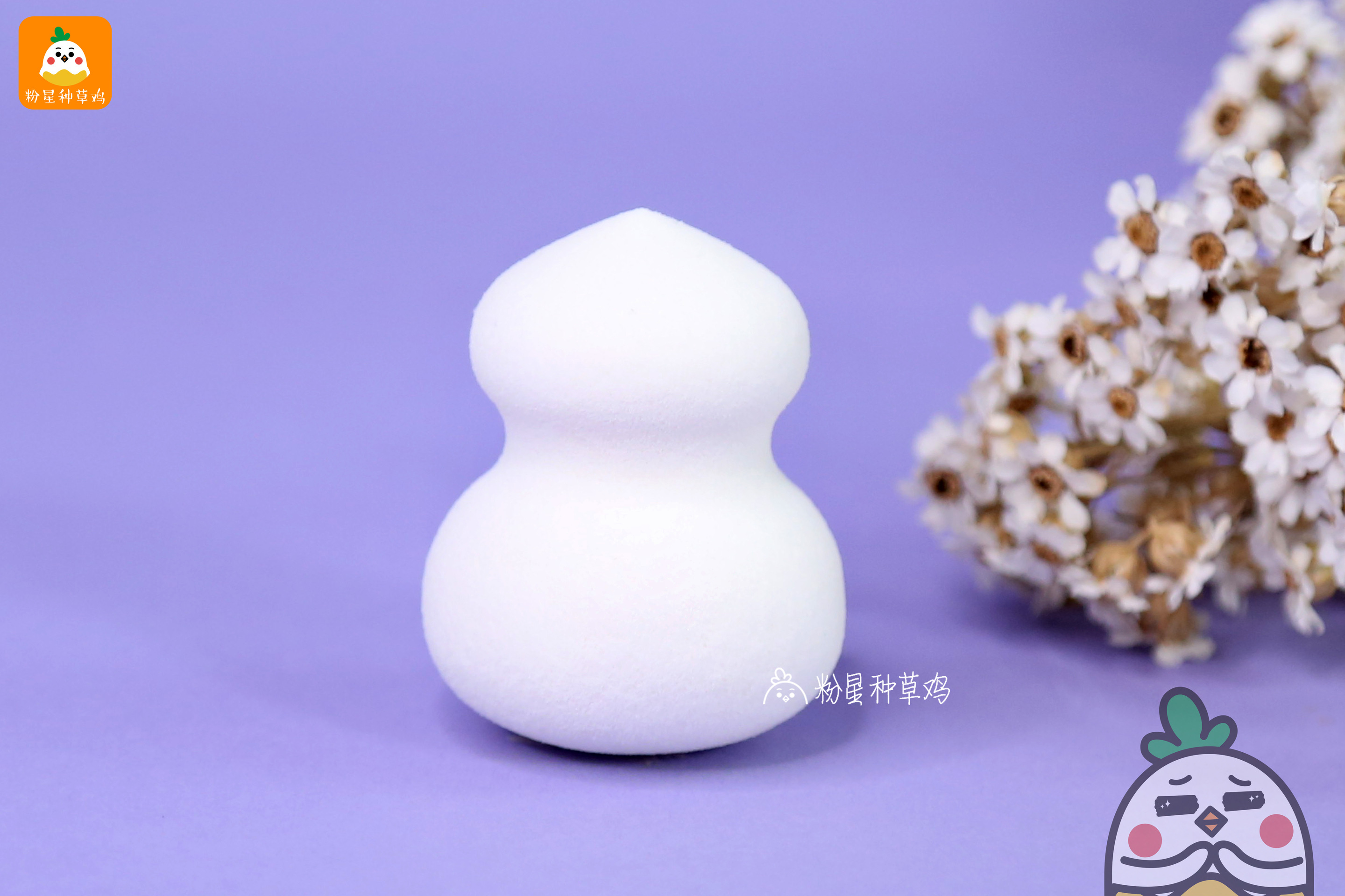 beauty blender美妝蛋和rt美妝蛋哪個(gè)好？