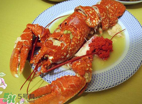 龍蝦多少錢一斤？龍蝦多少錢一斤2017？