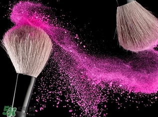 艾諾琪化妝刷怎么樣？艾諾琪化妝刷和受受狼哪家好？