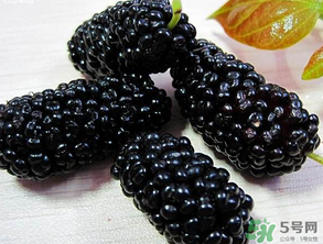 吃桑葚會(huì)拉黑便嗎？吃桑葚大便黑色怎么回事？