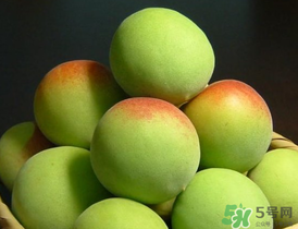 青梅什么時候成熟？青梅幾月份成熟？