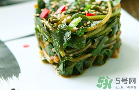 螞蟻菜是什么菜?螞蟻菜是什么樣子?