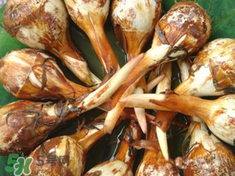 慈姑孕婦能吃嗎？孕婦能吃慈姑嗎？