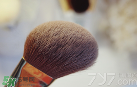 受受狼是哪個國家的？受受狼化妝刷推薦