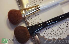 受受狼是哪個國家的？受受狼化妝刷推薦