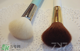 受受狼是哪個國家的？受受狼化妝刷推薦