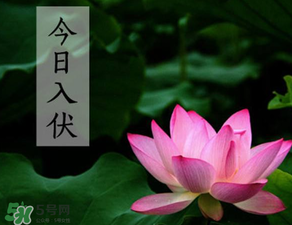 2017年頭伏是哪一天？2017年什么時候入伏？