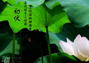 2017年頭伏是哪一天？2017年什么時候入伏？