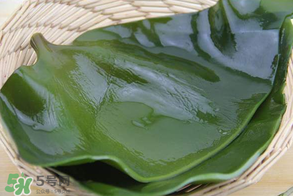 孕婦能吃海帶嗎？孕婦可以吃海帶嗎？