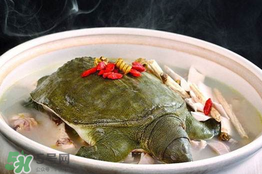 懷孕初期能吃甲魚(yú)嗎？懷孕初期可以吃甲魚(yú)嗎？