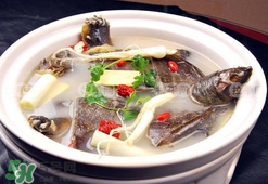 懷孕初期能吃甲魚(yú)嗎？懷孕初期可以吃甲魚(yú)嗎？